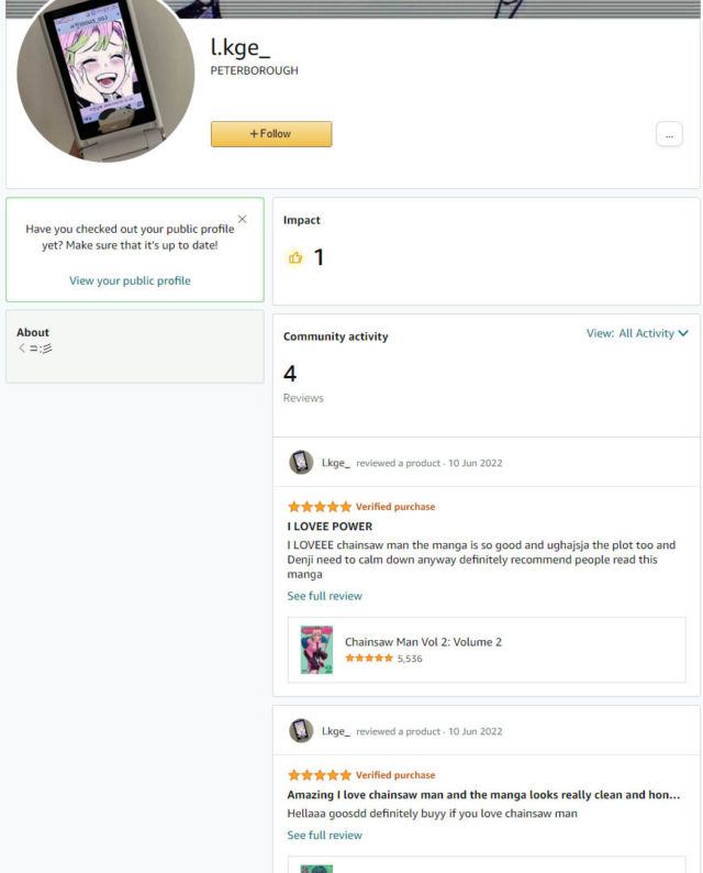 Fake Review Example 3