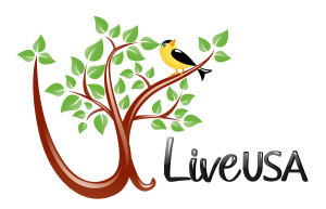 ULiveUSA Inc.