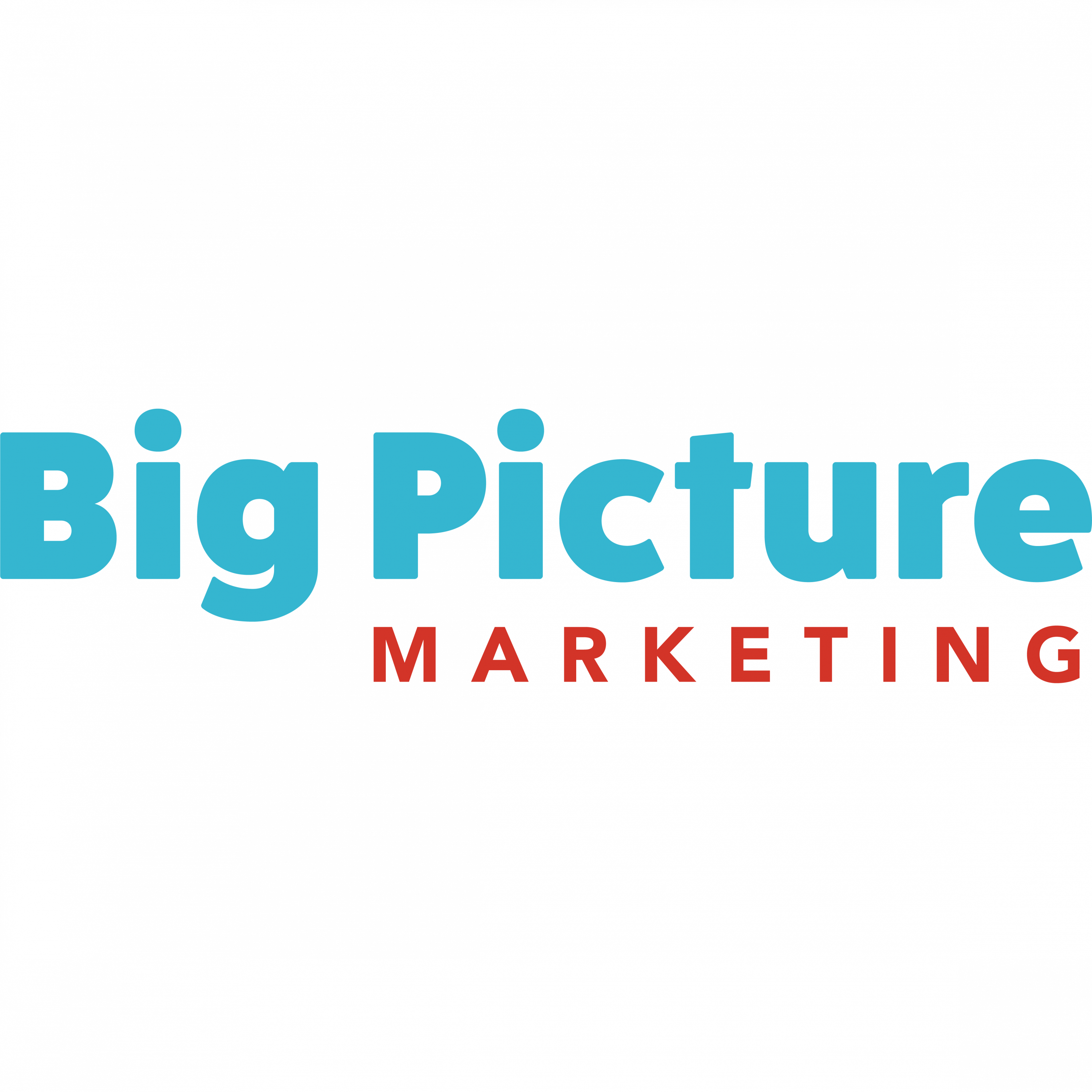 Big Picture Marketing